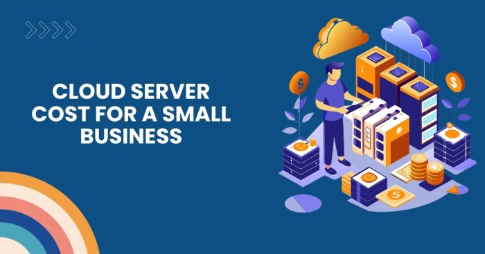 How Much Does a Cloud Server Cost for a Small Business?