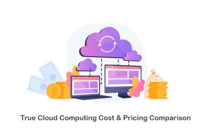 Cloud Computing Cost Comparison PowerPoint Presentation and Slides PPT ...