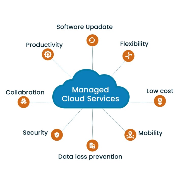 Managed Cloud Services in Pune | ID: 2850319096933